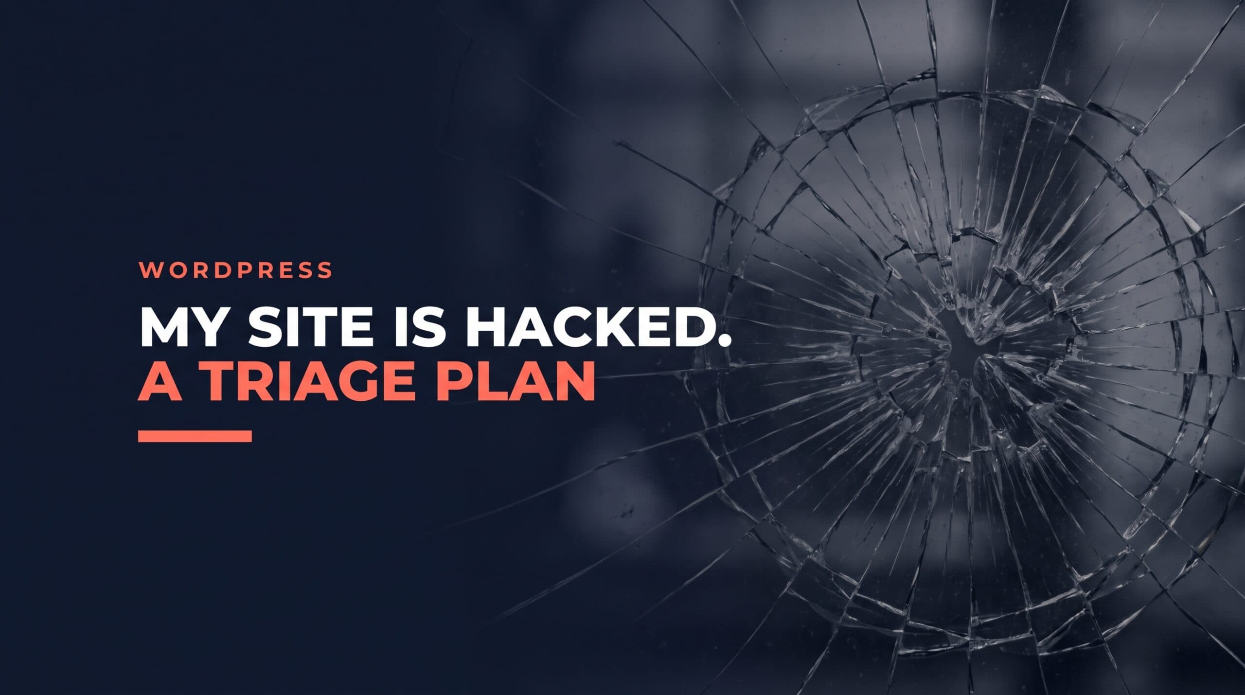 My WordPress Site Is Hacked