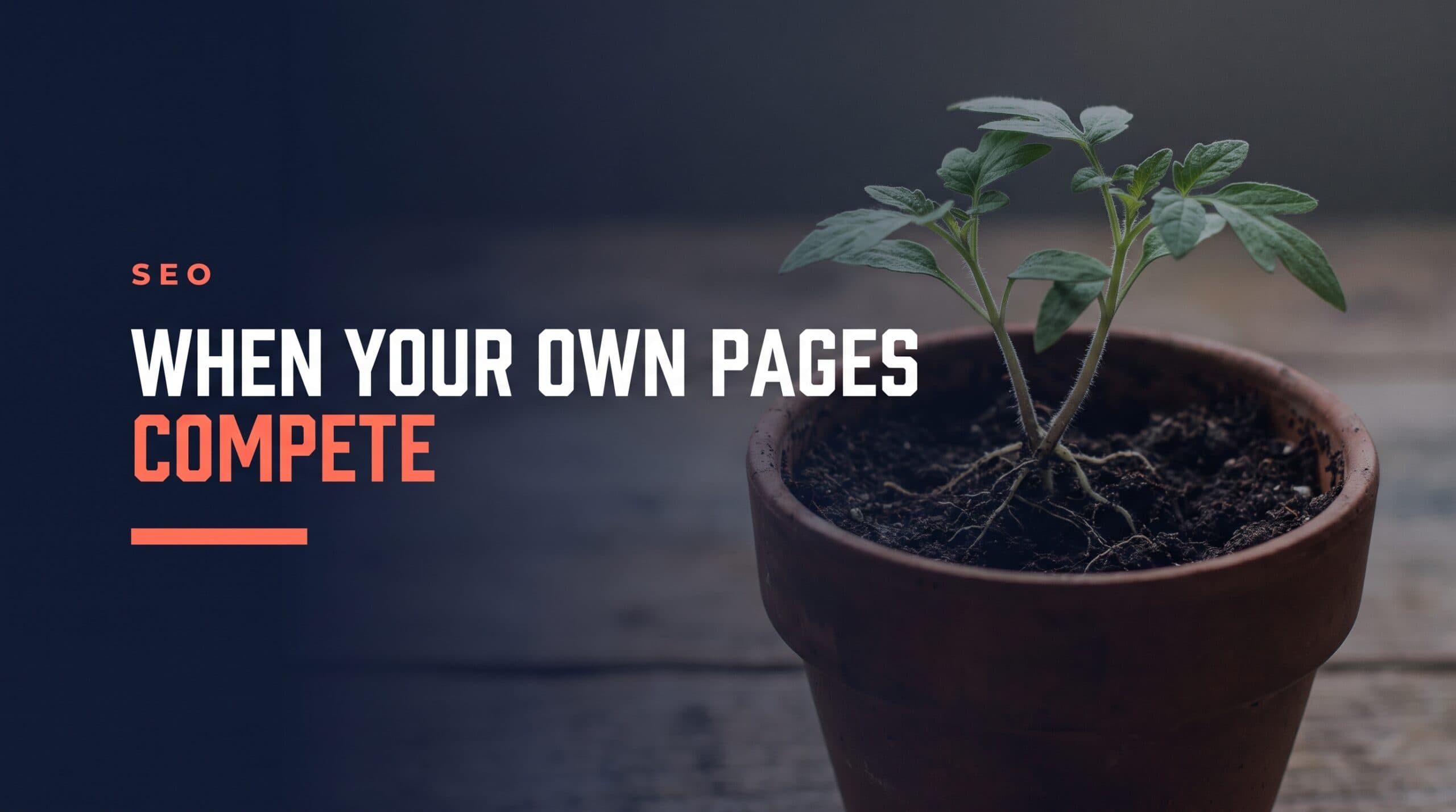 Keyword Cannibalisation: When Your Own Pages Compete